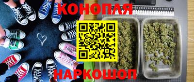 PSILOCYBIN Кимры