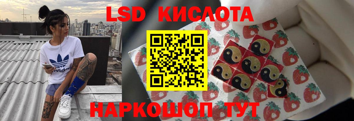 Электрогорск  Лсд 25 экстази ecstasy  Лсд 25 экстази ecstasy  ЛСД экстази  Вход с VPN 